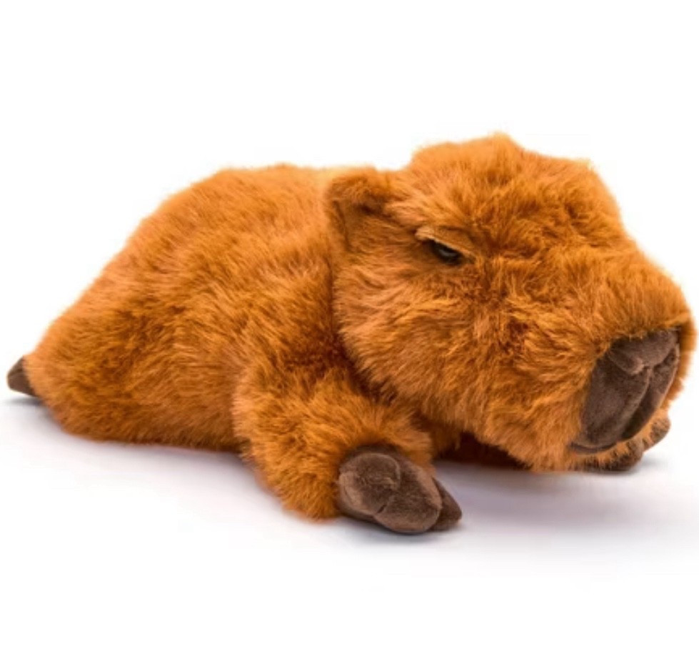 The different trends with kids are always fascinating, and this year, capybaras are a BIG thing! This super cute F.A.O. Schwartz Cabybara is on flash sale at Target today for only $11.99 - normally $19.99! I can attest that this is super cute and incredibly soft, as my daughter was gifted this recently. Ships overnight also if you have a Target Circle account! 🎯

#LTKGiftGuide #LTKKids #LTKSaleAlert