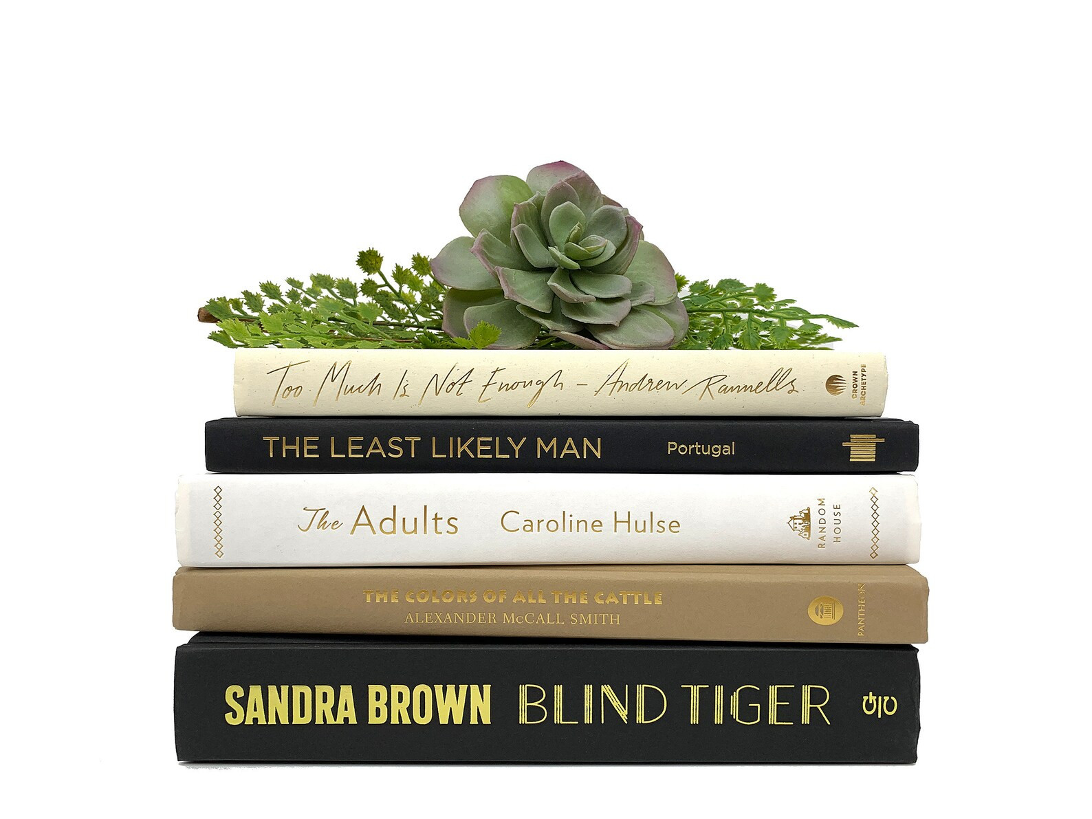 Bundle of Black, Beige, Ivory, Tan, White Decorative Books - Real Hardcover Bookshelf Insert - Ho... | Etsy (US)