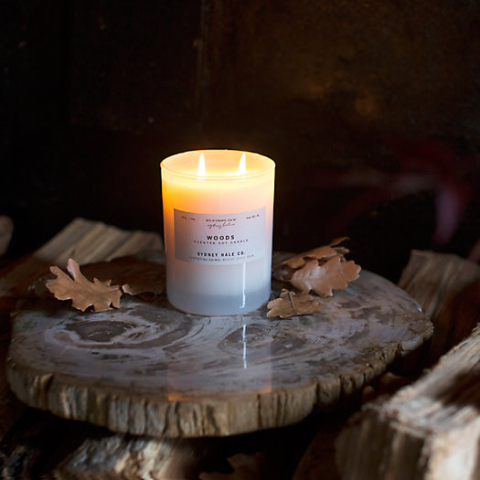Sydney Hale Candle, Woods | Terrain