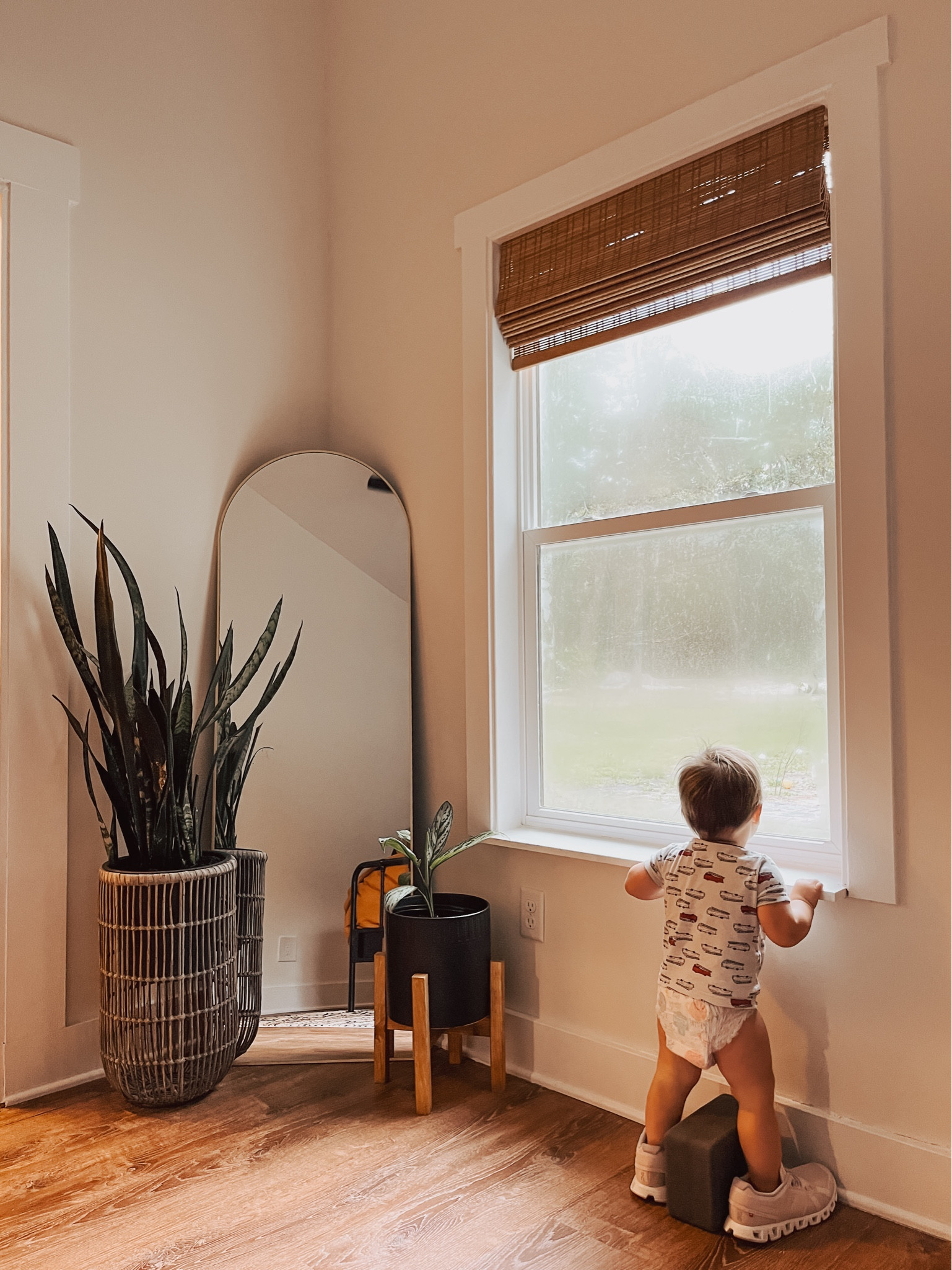 That Sunday morning light 🫶🏼 Linked plant stands, mirror and Roman shades! 

#LTKSeasonal #LTKHome