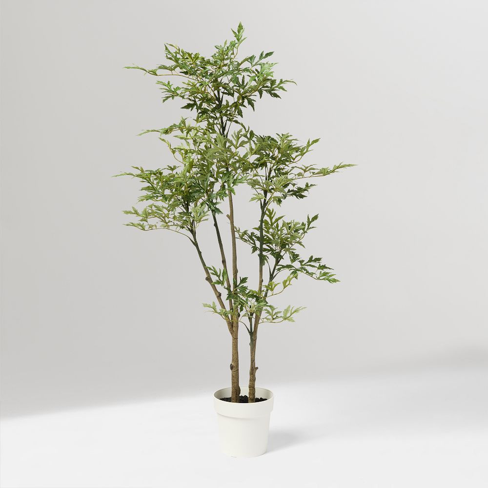 Faux Potted Phoenix Tree | West Elm (US)
