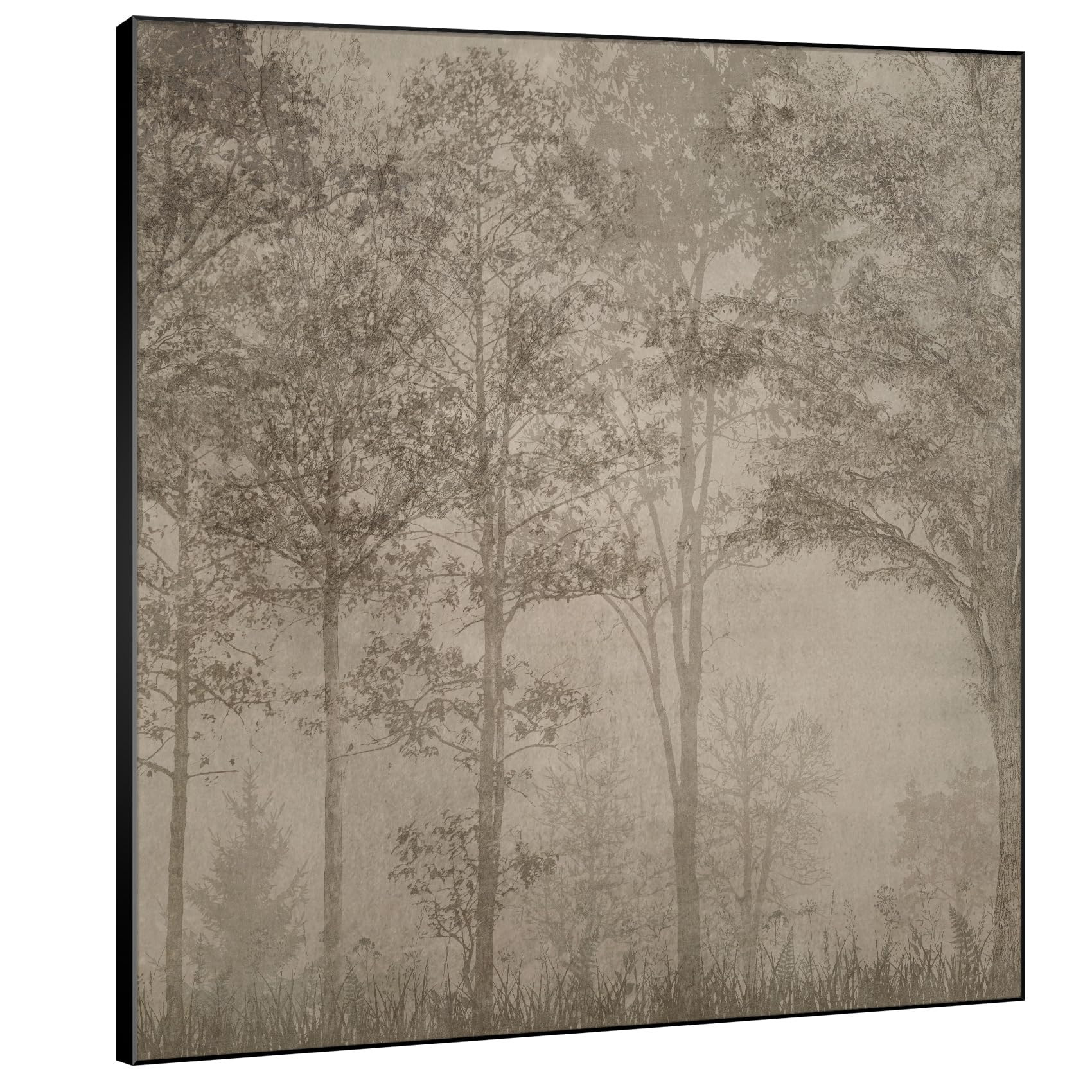 SIGNWIN 60"x60" Extra Large Framed Wall Art Muted Woodland Trees in Fog Print for Home Living Roo... | Amazon (US)