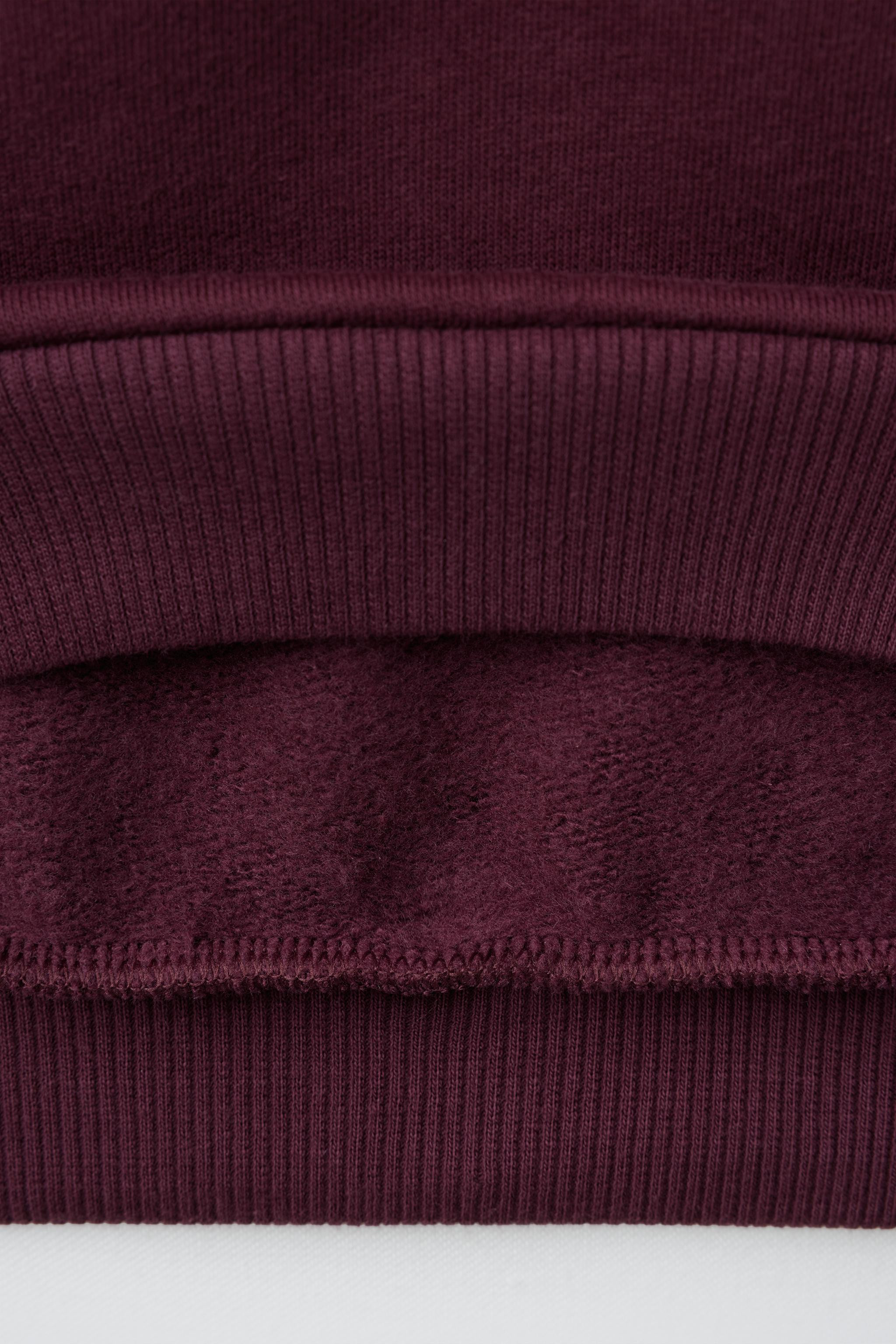 EMBROIDERED FROG FASTENING POLO SWEATSHIRT | Zara US
