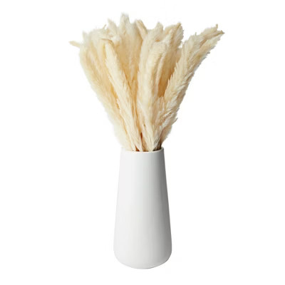 Farmlyn Creek 40 Pack Ivory Natural Dried Pampas Grass Branches with White Ceramic Vase, Plants for Home Decor, 16 in | Target