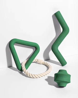 Dog Toy Set | Wild One | Wild One