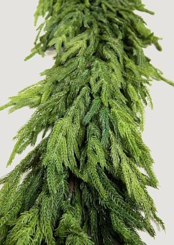 Afloral Real Touch Deluxe Norfolk Pine Garland - 96" | Amazon (US)