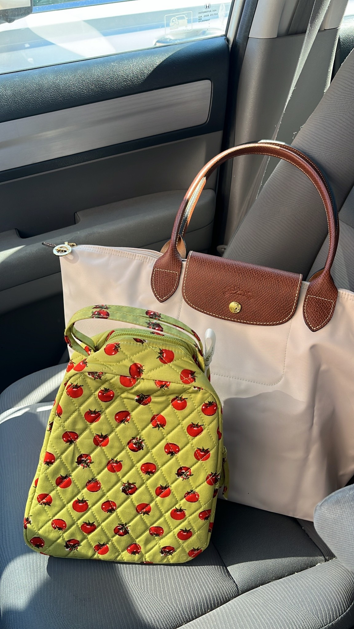 My commute view! The Large Longchamp Le Pliage is perfect if you have a laptop that’s larger than 13 inches. And this Vera Bradley lunch bag is perfect for spring and summer vibes.

#LTKWorkwear #LTKTravel #LTKItBag