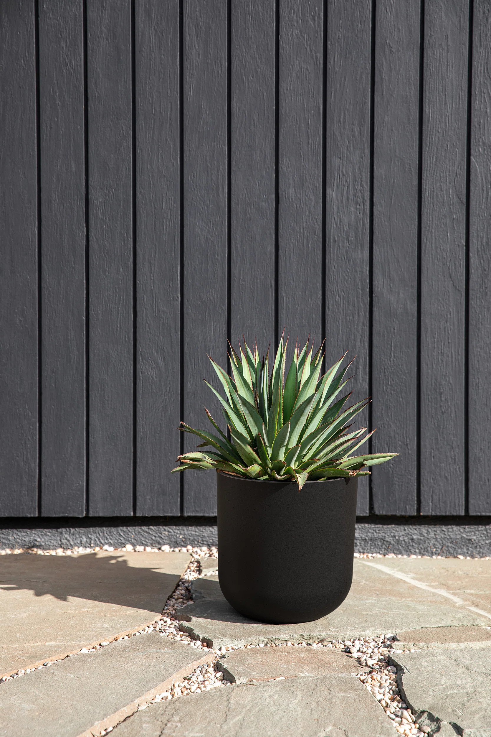 Veradek Pure Series Planter & Reviews | Wayfair | Wayfair North America