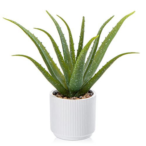 GnFlus Artificial Succulent Aloe Plants 13 Inch Large Faux Succulents with Ceramic Pot Fake Aloe Potted Plant for Home Indoor Bathroom Table Bedroom Shelf Office Decor | Amazon (US)
