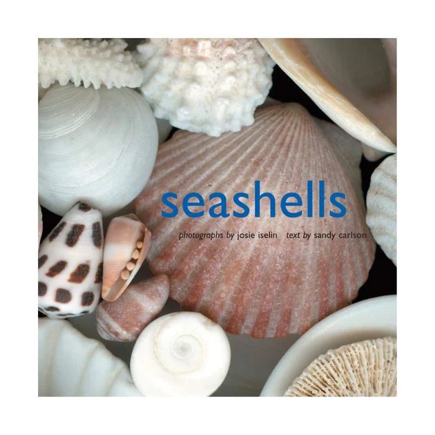 Seashells Coffee Table Book | Cailini Coastal