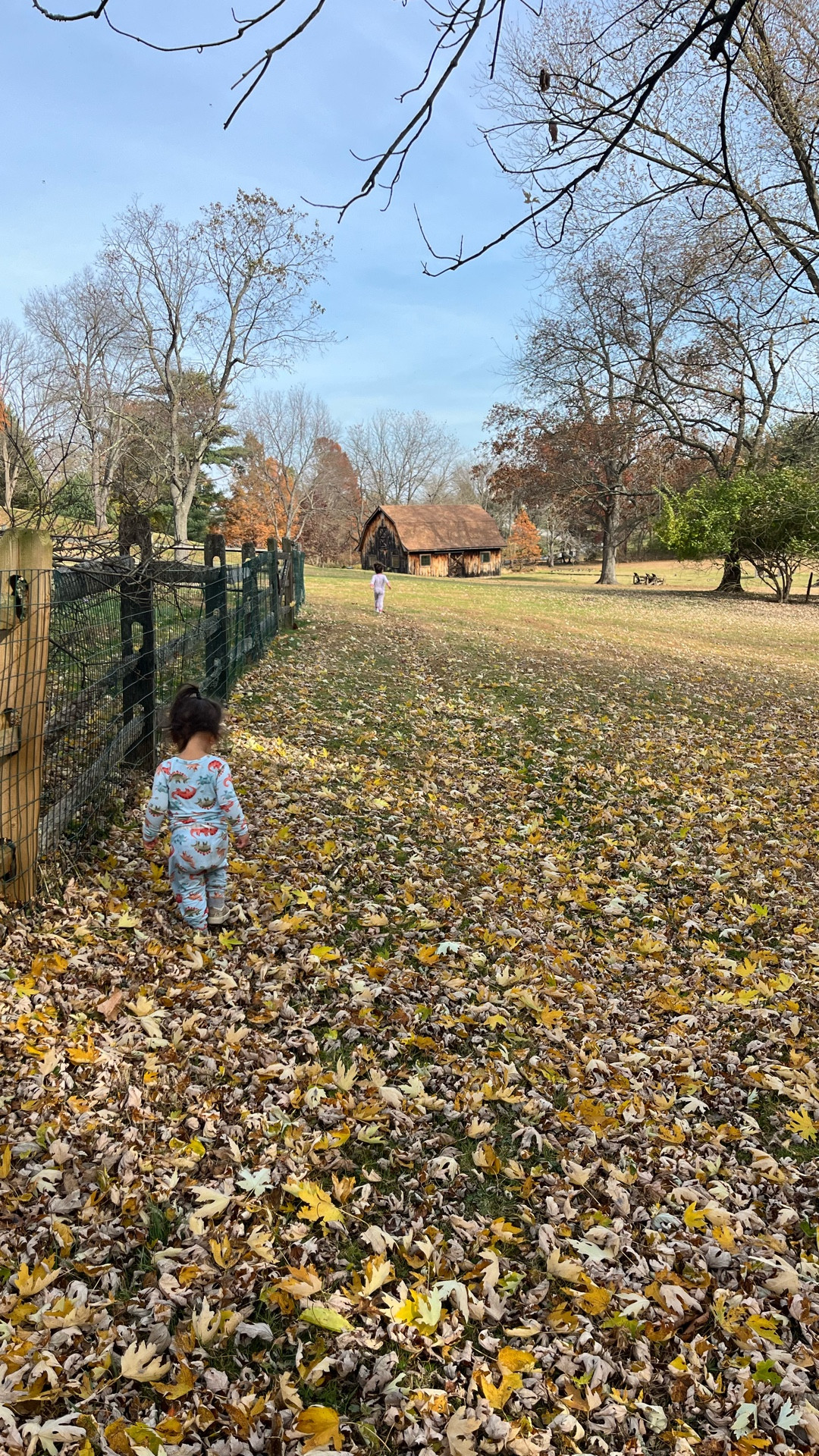 Onto new memories in our new home 🦊 

#newhome #makingmemories #nature #homestyle #phillyrealestate #homevibes #creatingmemories #familymoments #lifeathome #newchapter #cozyhome

#LTKmomlife #LTKdayinmylife #LTKHome