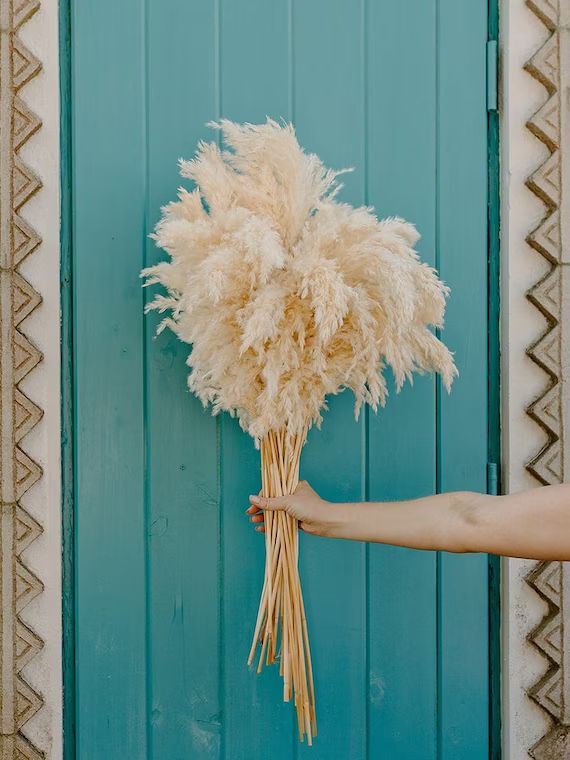 3 FT Ivory Droopy Pampas Grass | Etsy | Etsy (US)