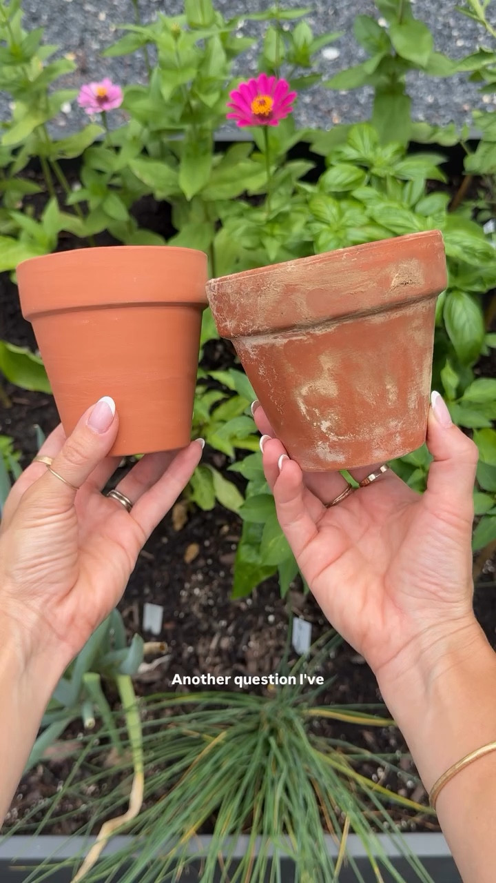 DIY aged terracotta pots 🪴 I’ve been making these nonstop because it turns your potted plant into one that looks sun baked and timeworn with a soft patina. They have just enough imperfection to feel like it’s been part of the garden forever!! Exactly what everyone wants. 

Mention POT for the info and supplies 🔗 

#diyterracottapot #diygarden #cottagegarden #whimsicalgarden #agedterracotta