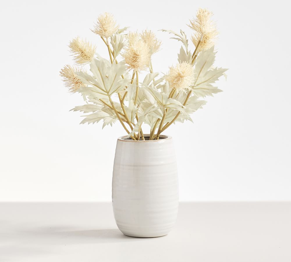 Dried Thistle Arrangement in Ceramic Vase | Pottery Barn (US)