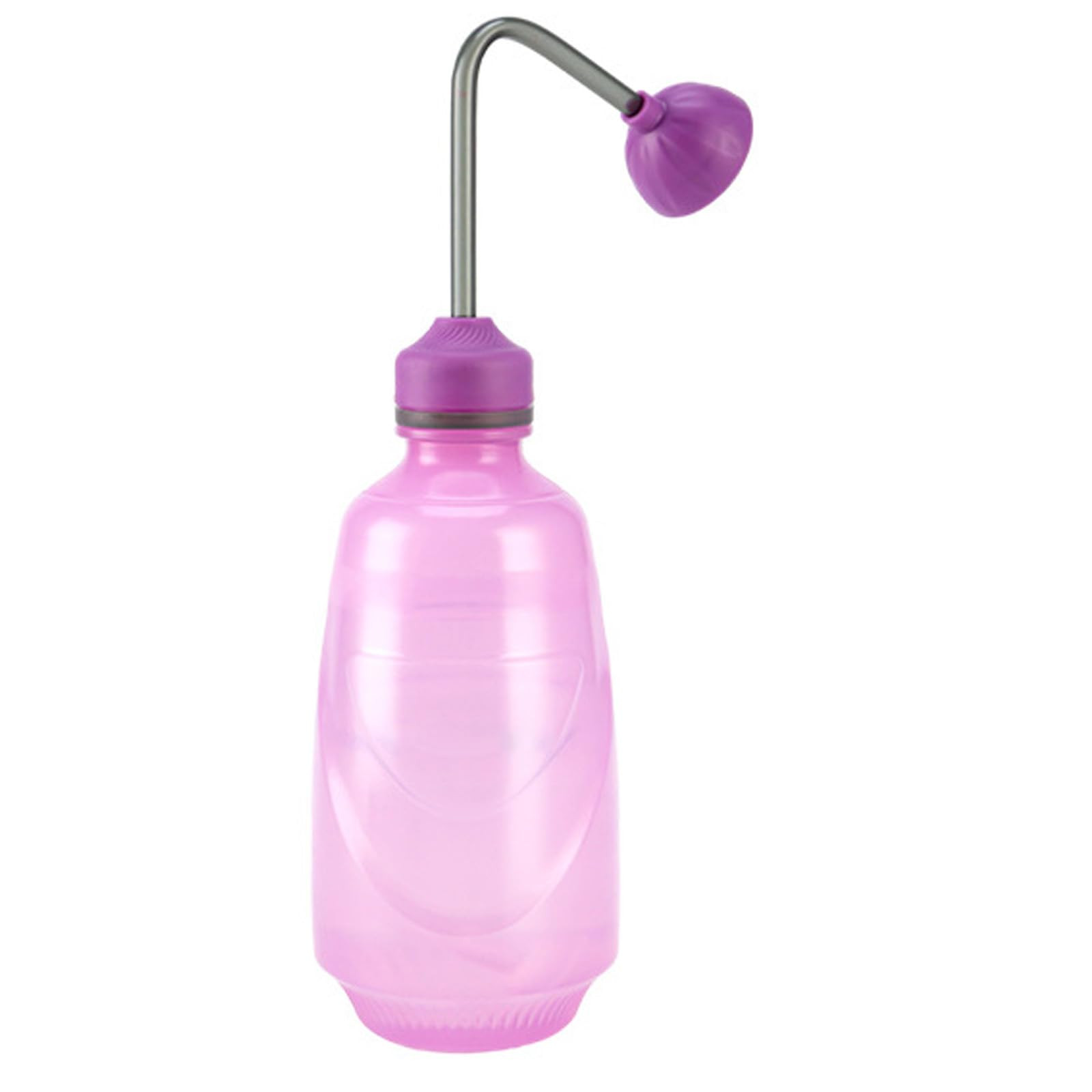 Watering Can for Seedlings, Small Watering Can for House Plant Garden Flower 0.45L (Purple) | Amazon (US)