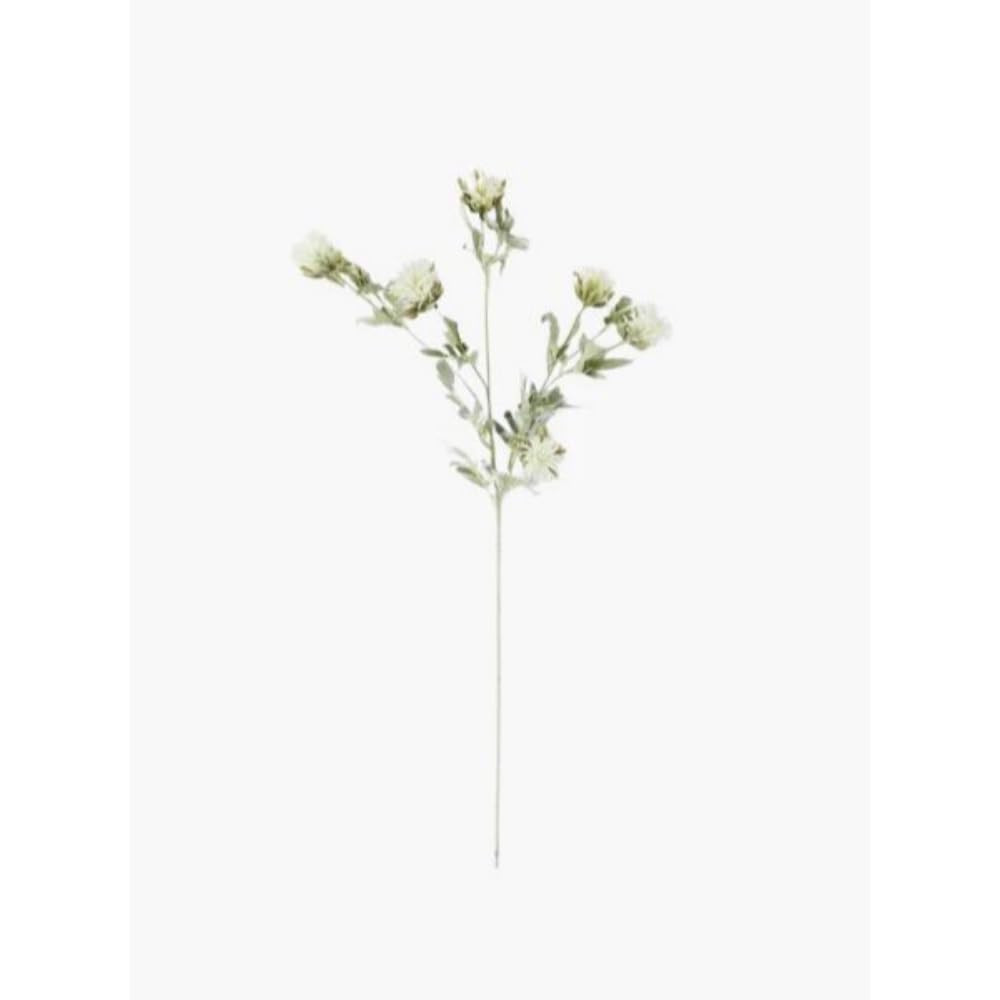 33" White Thistle W/Soft Green Foliage Stem | Amazon (US)