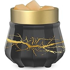 SALKING Ceramic Wax Melt Warmer, 3-in-1 Candle Wax Warrmer for Scented Wax Burner Electric Wax Me... | Amazon (US)