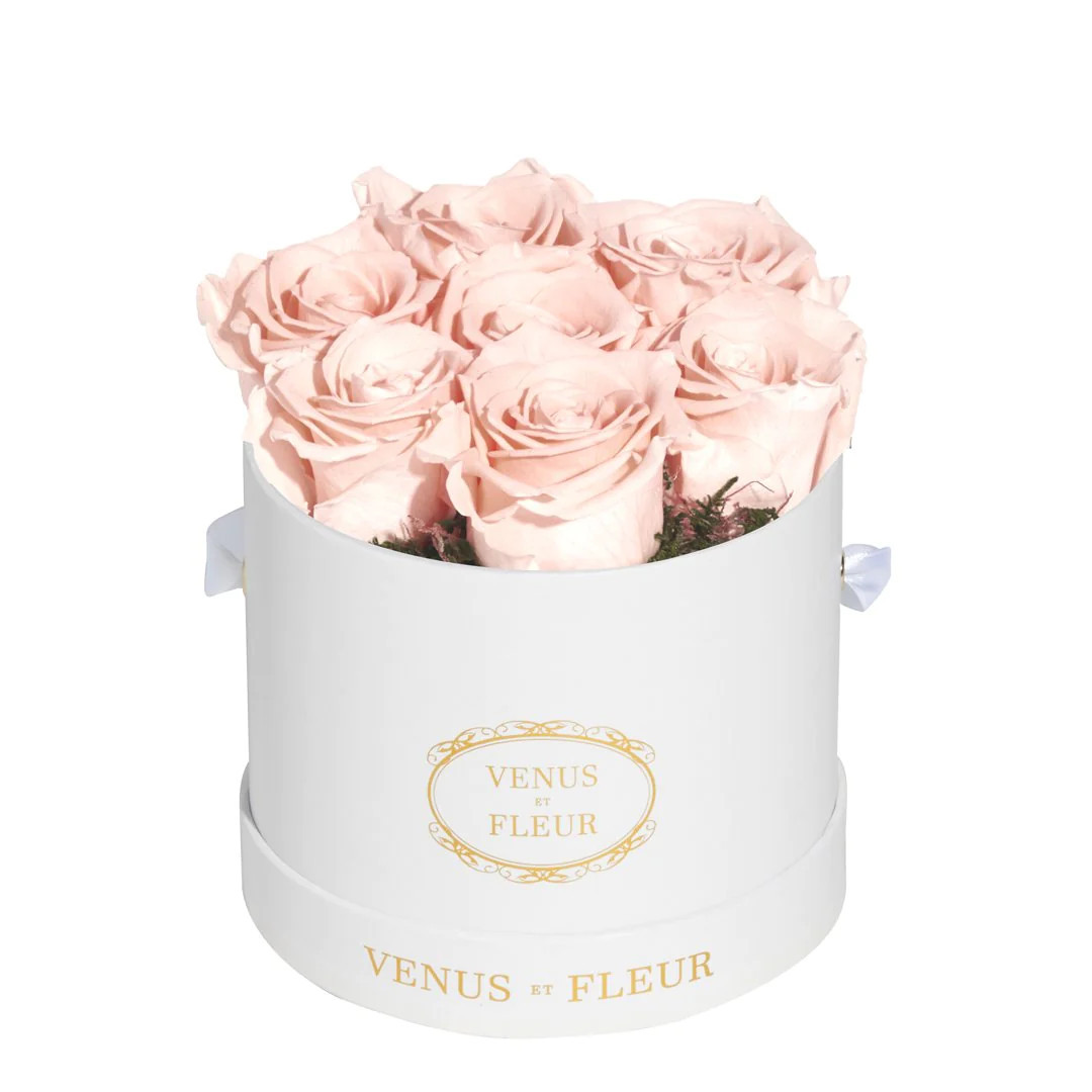 Le Petit Round | Venus ET Fleur