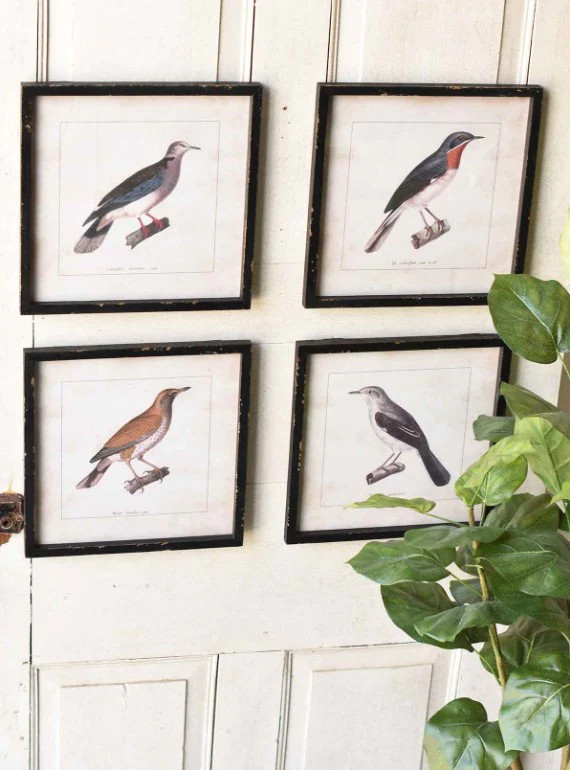Herrington Hills Birds, Four Style Options | The Nested Fig