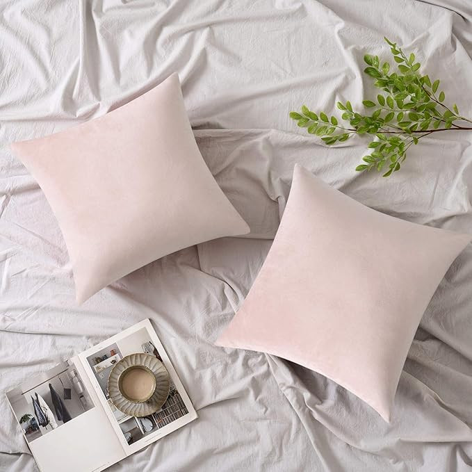 Woaboy Pack of 2 Velvet Throw Pillow Covers Decorative Pillowcases Solid Soft Cushion Covers Pill... | Amazon (US)