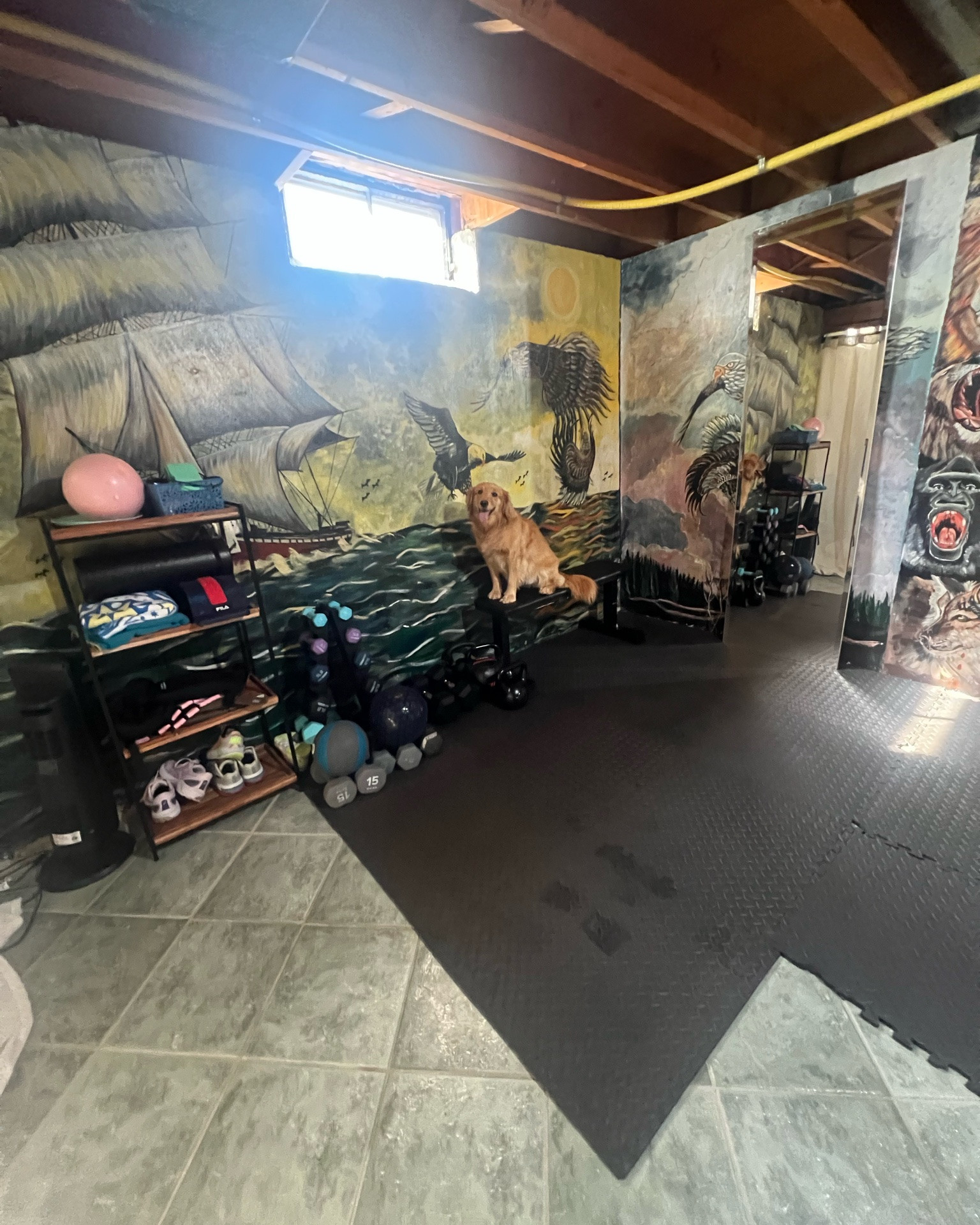 Our clean and set up workout area!

#LTKfitnessgoals #LTKActive #LTKHome