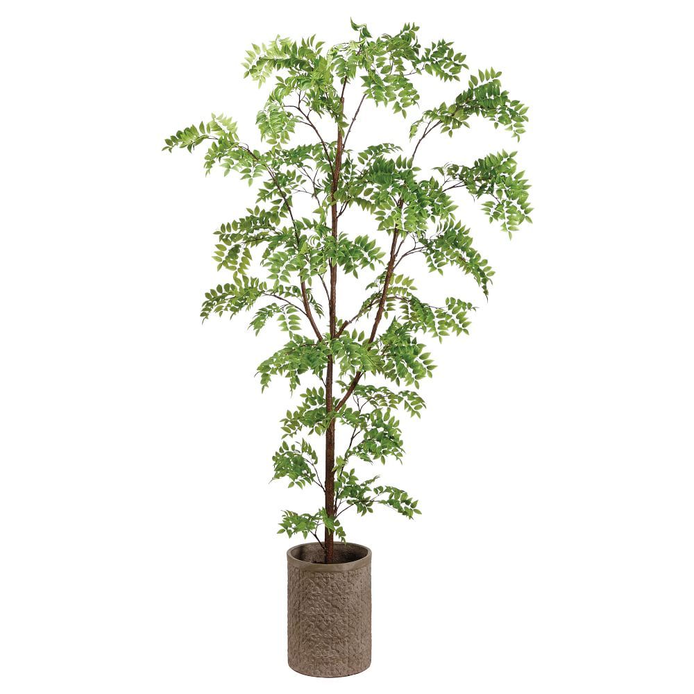 Faux Potted Wisteria Tree, 8', Green | West Elm (US)