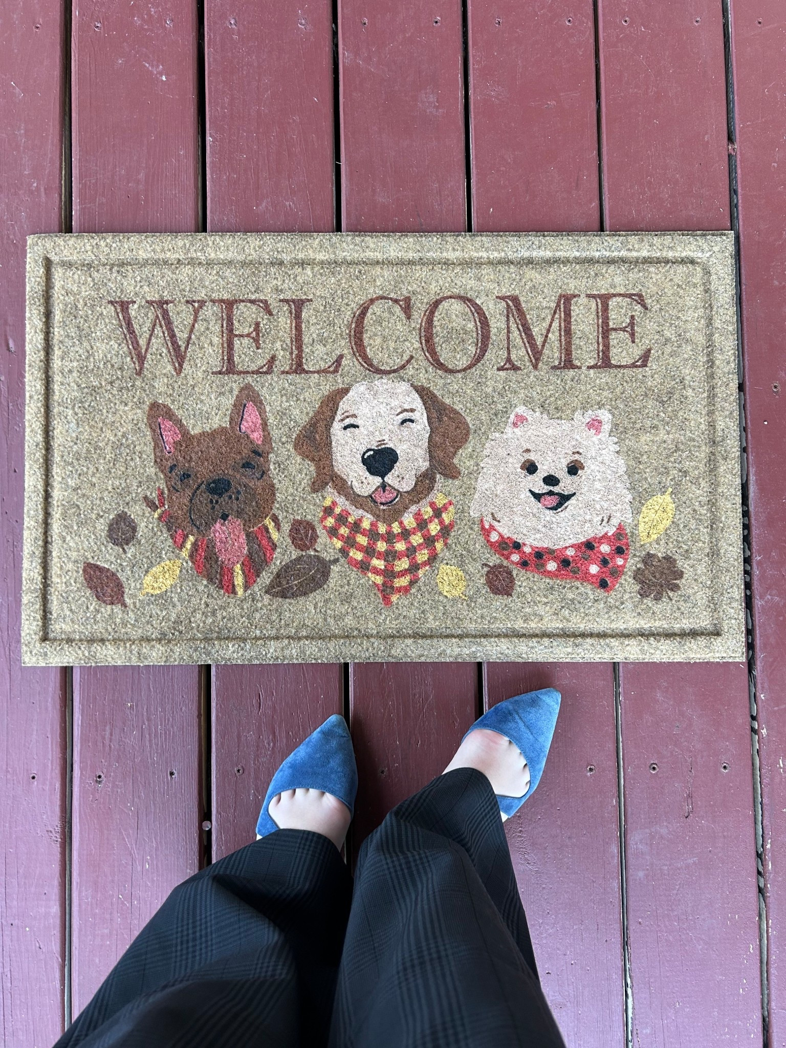 Fall welcome mat, puppies, dog welcome mat, door mat 

#LTKHome #LTKSeasonal #LTKFallSale