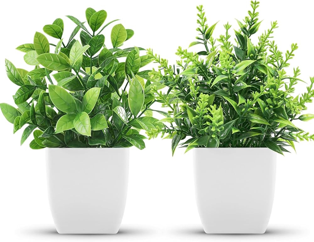 Der Rose 2 Pack Fake Plants Small Faux Artificial Small Potted Plants Indoor for Room Home Office... | Amazon (CA)