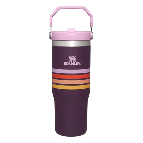 Stanley Varsity IceFlow 30 oz Flip Straw Tumbler | Scheels