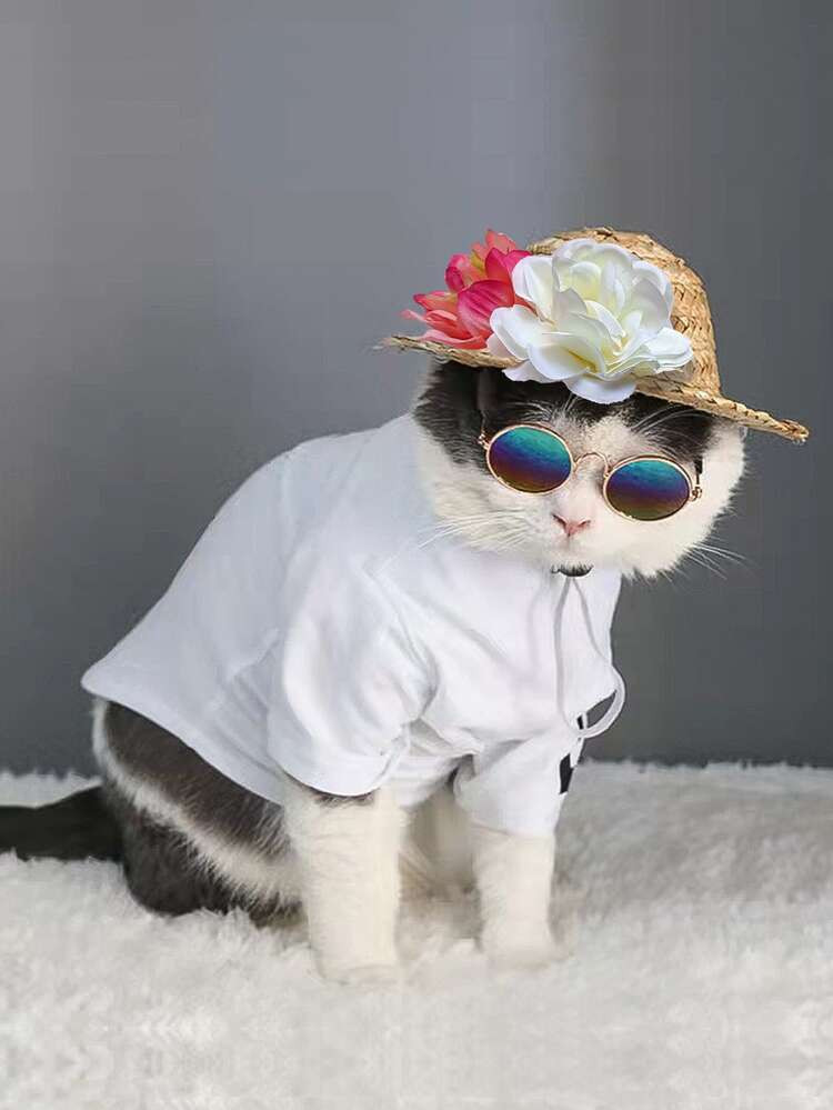 1pc Flower Decor Pet Hat | SHEIN