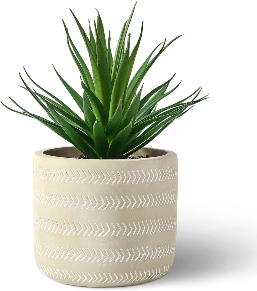 Amazon.com: LORYDECO Artificial Potted Succulents Plants, Fake Succulent Plant with Cement Pot, C... | Amazon (US)