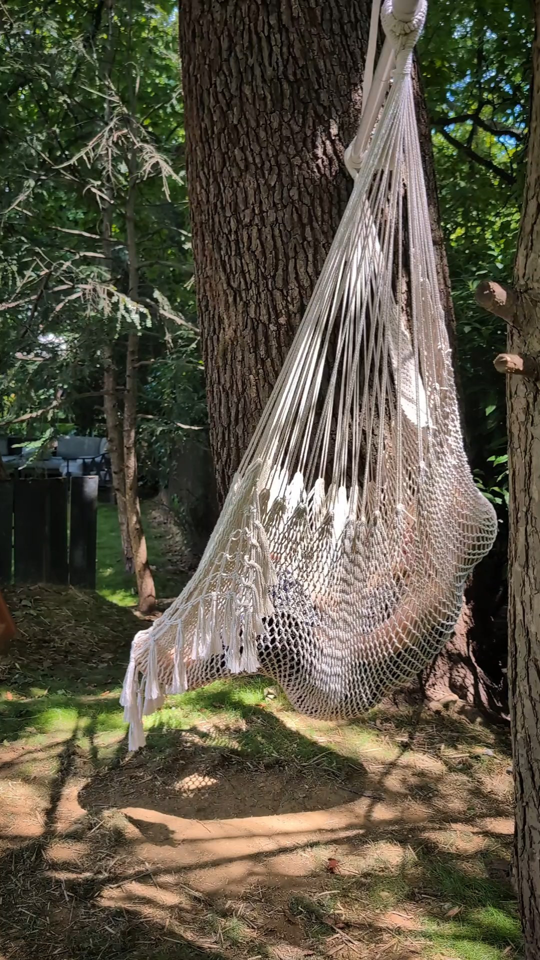 This hammock chair has quickly become a favorite for the whole family. The kids love to spin in it, and it's long though for an adult to kick their feet up & relax outdoorsIt's in such high demand I might need to find a spot for another one!

#LTKSeasonal #LTKHome #LTKFamily