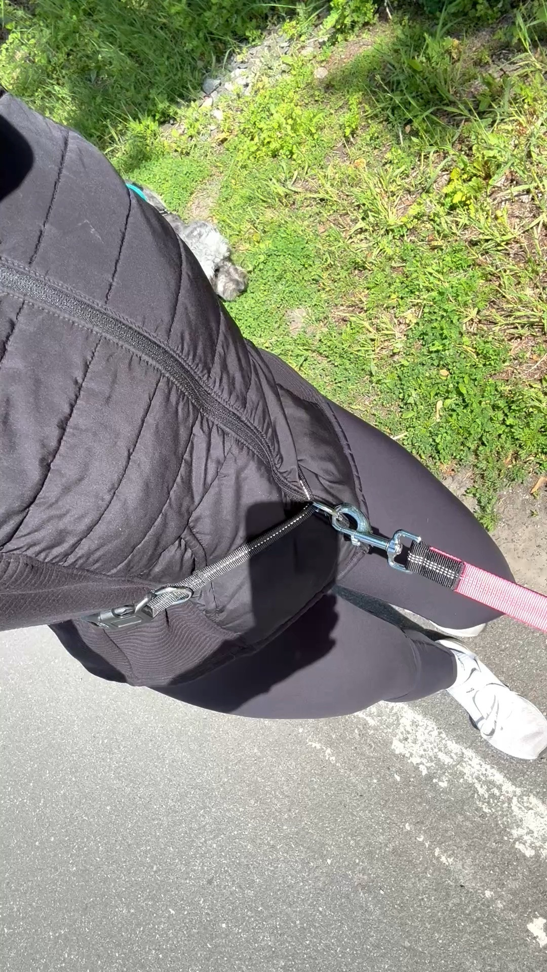 My waist leash lets me walk both dogs at once