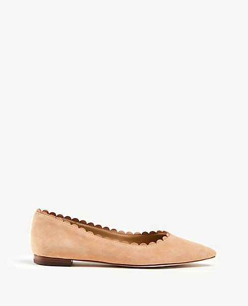 Shreya Scalloped Suede Flats | Ann Taylor (US)