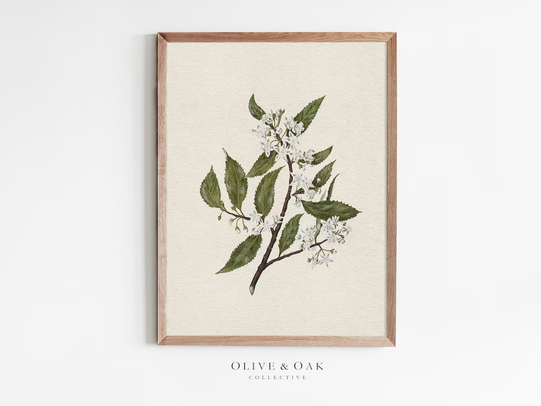Vintage Branch Drawing / Botanical Art Print / White Flower Wall Art / Downloadable Prints / PRIN... | Etsy (US)