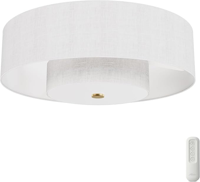 Hunter - Brookside Indoor Fandelier With Light, Remote, 30-inch, Casual-style, 3-speed WhisperWin... | Amazon (US)