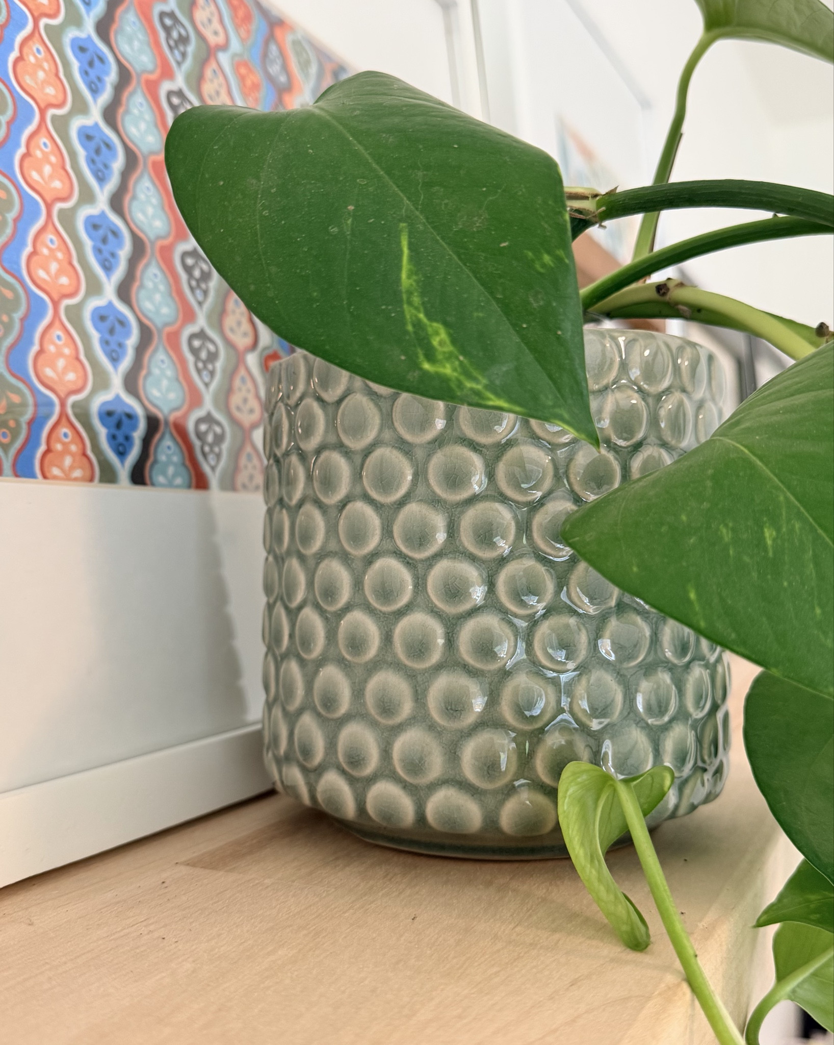 This Bloomingville polka dot stoneware planter is such a sweet little home decor piece 🌿 The blue green color is beautiful in person and the size is perfect for a small plant, propagation jar, or even a little vase for fresh flowers. I currently have pothos cuttings rooting in it, and the wide opening works great for that. One of those simple pieces that adds a charming touch to a shelf, kitchen counter, or windowsill. ✨

#LTKHome #LTKspring #LTKSaleAlert
