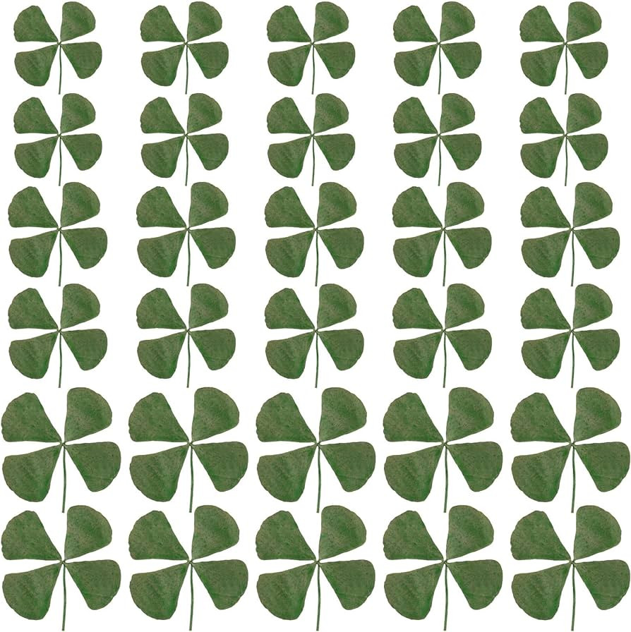 Real Natural Dried Leaves Pressed Dried Shamrock Four-Leaf Dried Leaves with Tweezer for Irish Fe... | Amazon (US)