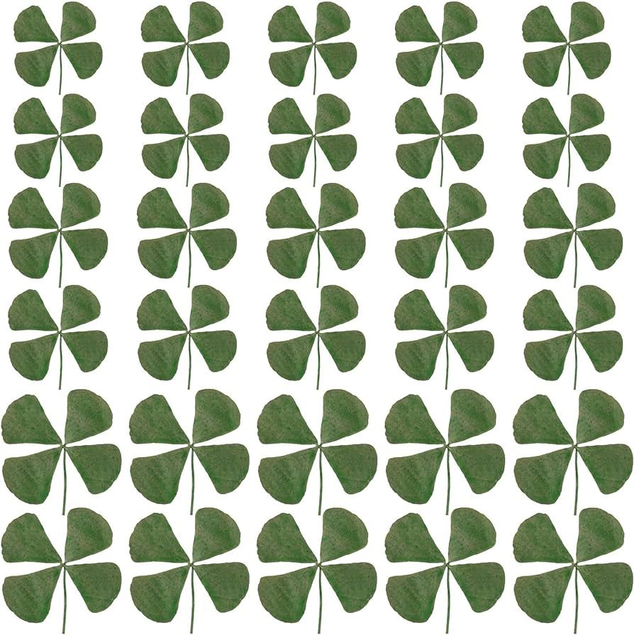 Real Natural Dried Leaves Pressed Dried Shamrock Four-Leaf Dried Leaves with Tweezer for Irish Fe... | Amazon (US)