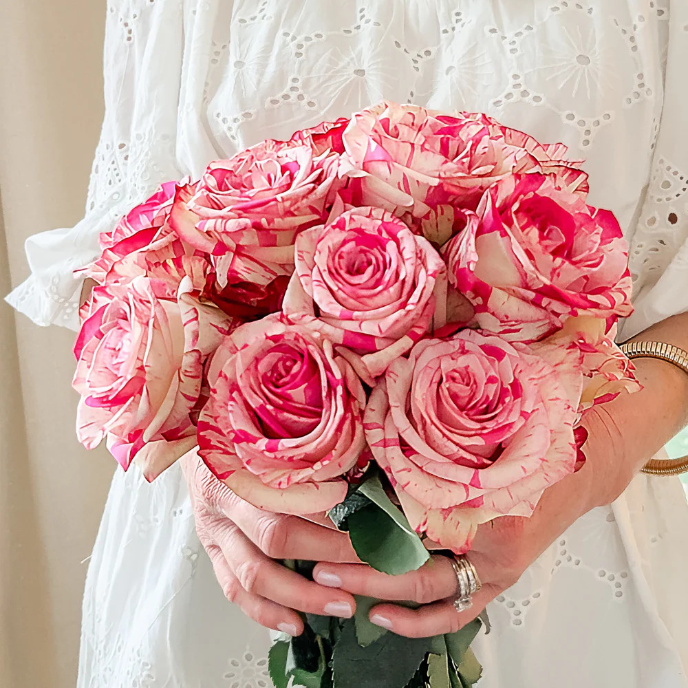 Confetti Roses – Elegance in Every Petal | Rosaholics