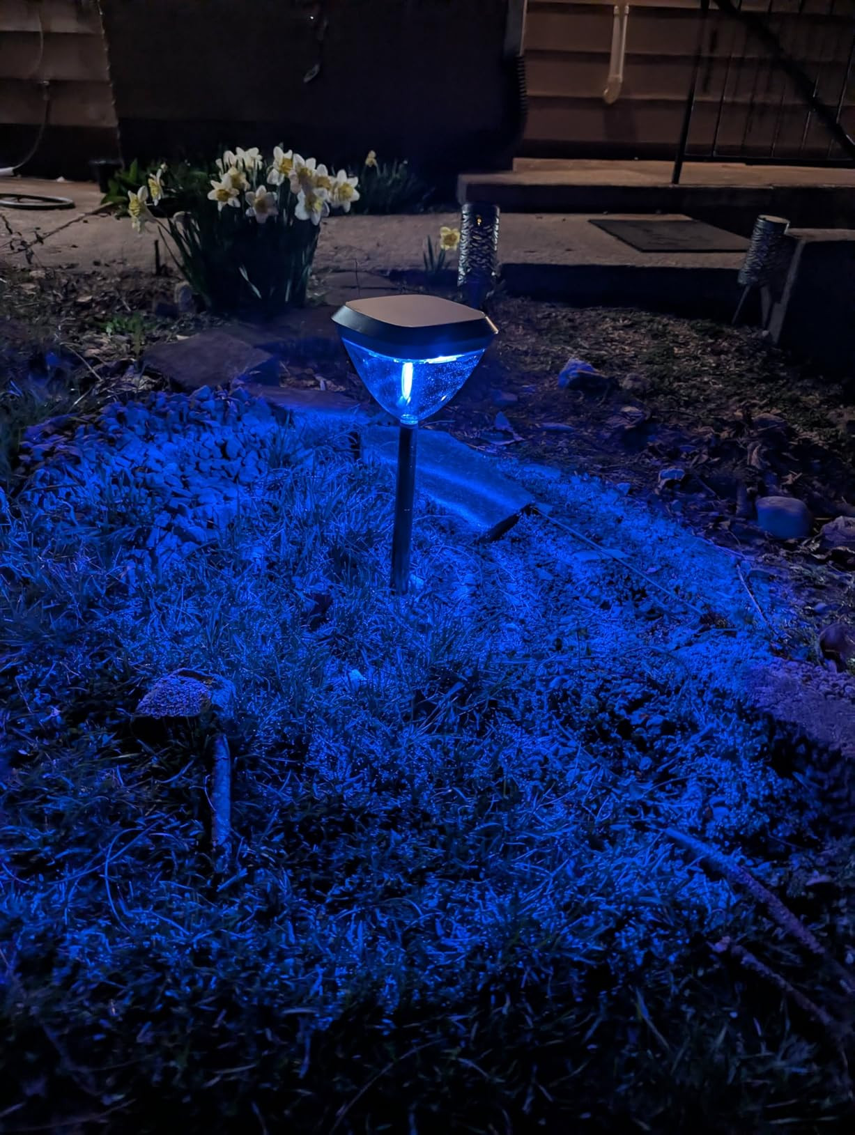 Linkind Smart Solar Pathway Lights SP6, App/Voice Control Solar Lights Outdoor Waterproof, 43+ Pr... | Amazon (US)