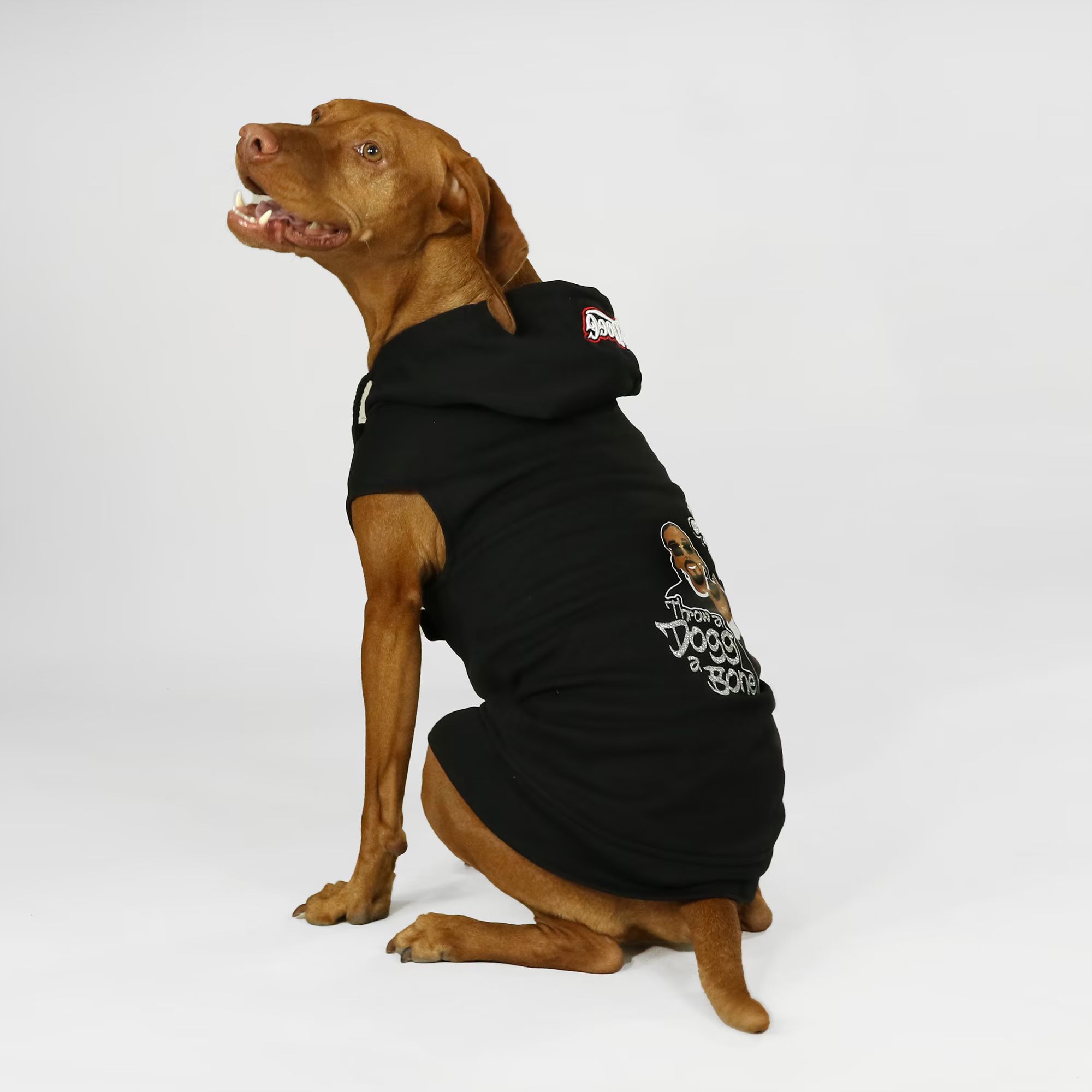 Snoop Doggie Doggs Black Throw a Dogg a Bone Deluxe Pet Hoodie, X-Small | Petco