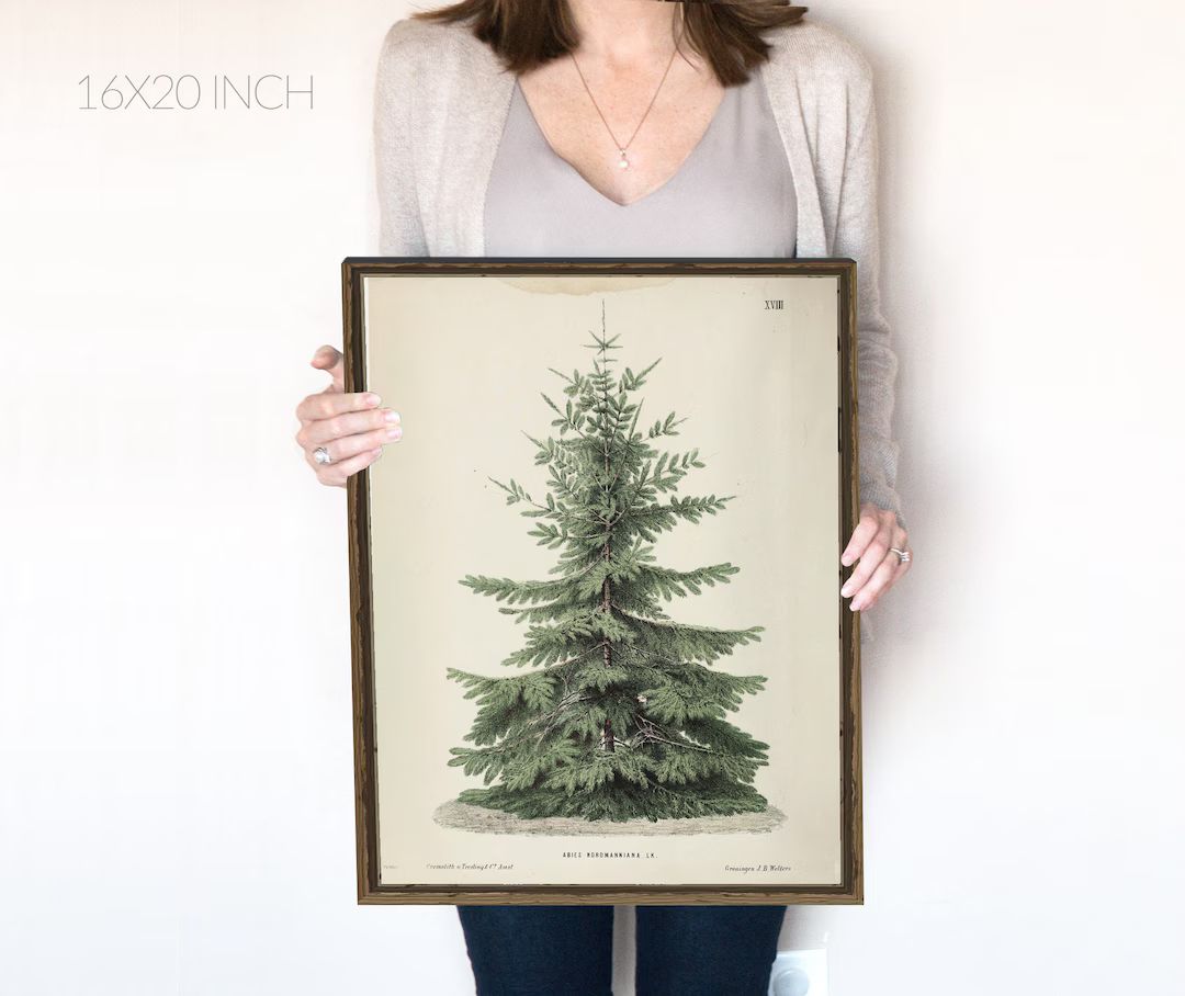 Vintage Christmas Tree  | Pine Tree Vintage Print | Winter Art | Holiday Decor | Moody Neutral Ho... | Etsy (US)