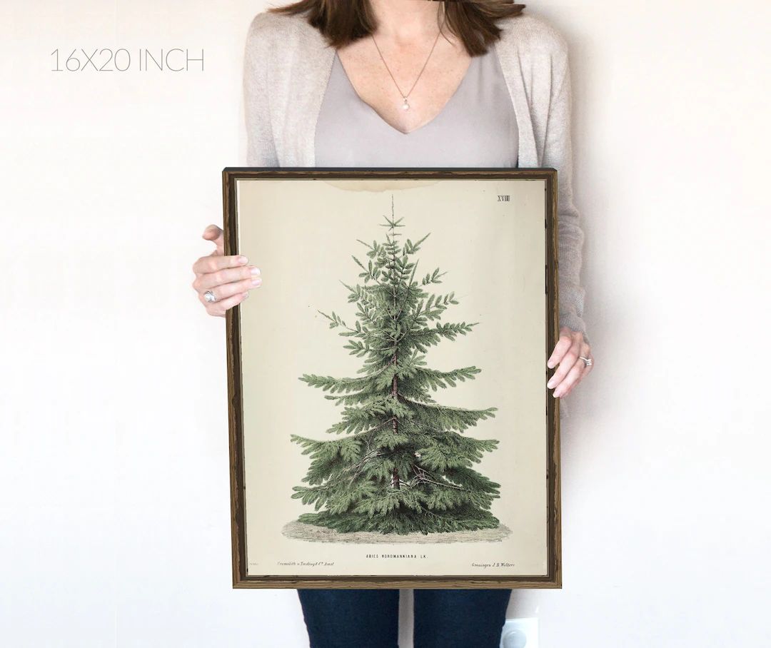 Vintage Christmas Tree Pine Tree Vintage Print Winter Art - Etsy Canada | Etsy (CAD)