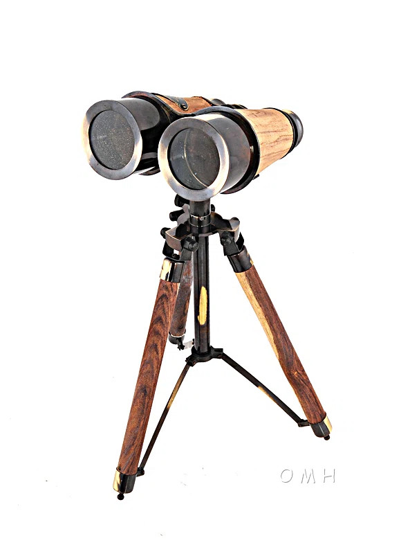 Entertainment Decorative Telescope | Wayfair North America