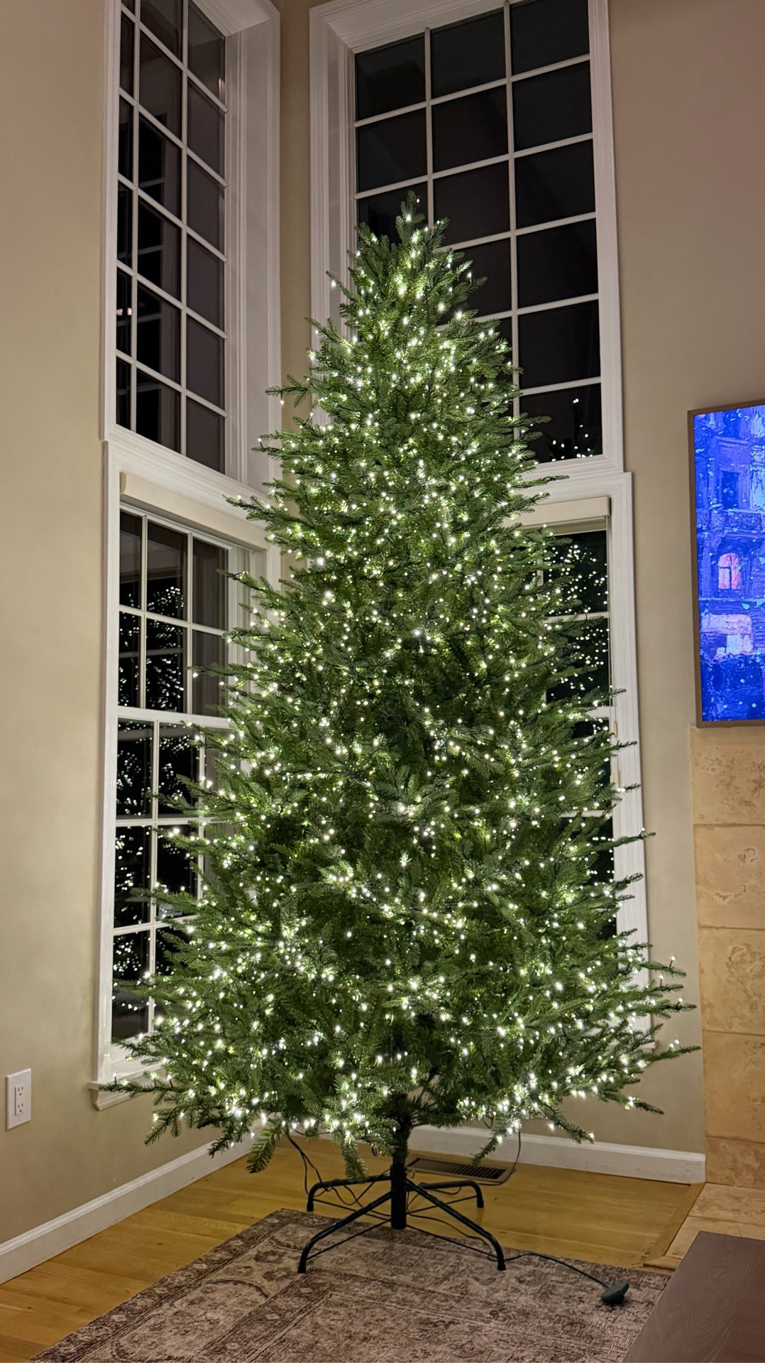 Home Decorators 9’ Grand Duchess Twinkling Balsam Fir. She’s perfect ✨

#LTKHome #LTKSeasonal #LTKHoliday