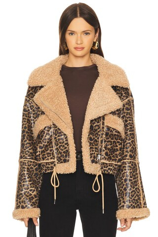 Bonded Moto Jacket in in The Shadows | Revolve Clothing (Global)