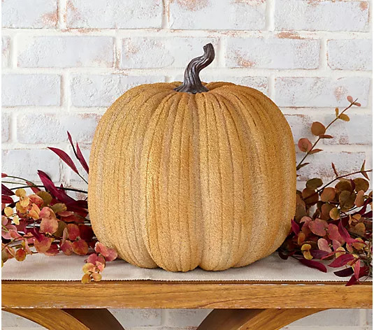 Home Reflections In/Outdoor 14" Decorative Orange Pumpkin - QVC.com | QVC
