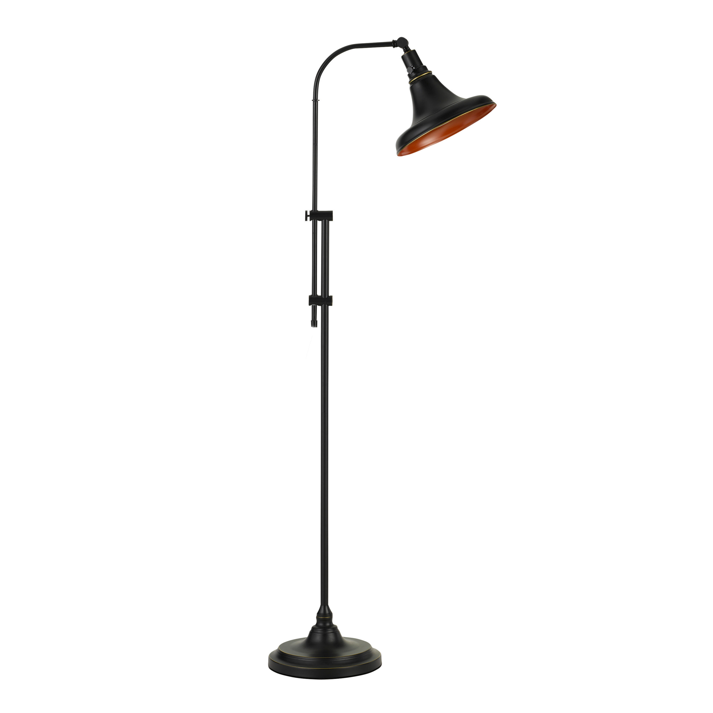 David Dark Bronze Adjustable Floor Lamp | World Market