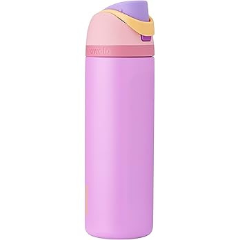 Owala Disney Princess FreeSip Insulated Stainless Steel Water Bottle with Straw for Sports and Tr... | Amazon (US)